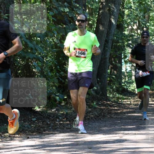 28.09.2025 - 33. Volkslauf durch das schöne Alstertal Strokosch-Dieckow http://msf.ph/oto/8971375 28.09.2025 12:13:03 Laufen 2015, 666, 2570 meine-sportfotos.de