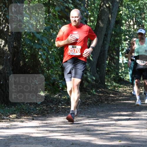 28.09.2025 - 33. Volkslauf durch das schöne Alstertal Strokosch-Dieckow http://msf.ph/oto/8971382 28.09.2025 12:13:09 Laufen 2570, 718 meine-sportfotos.de