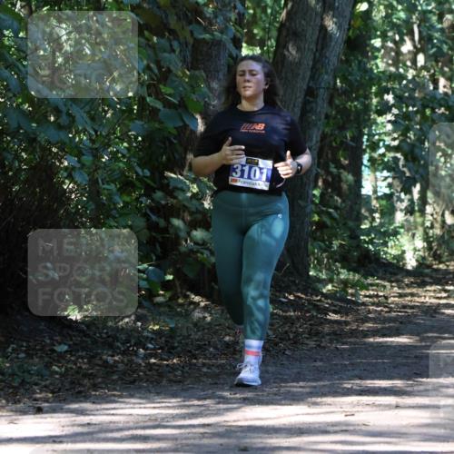 28.09.2025 - 33. Volkslauf durch das schöne Alstertal Strokosch-Dieckow http://msf.ph/oto/8971388 28.09.2025 12:13:14 Laufen 3101 meine-sportfotos.de