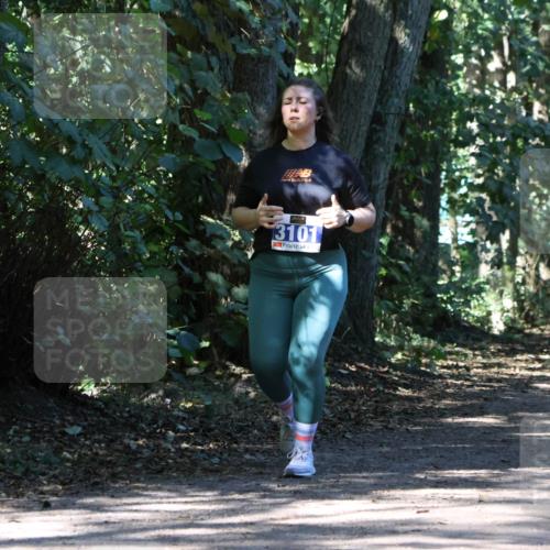 28.09.2025 - 33. Volkslauf durch das schöne Alstertal Strokosch-Dieckow http://msf.ph/oto/8971389 28.09.2025 12:13:14 Laufen 3101 meine-sportfotos.de