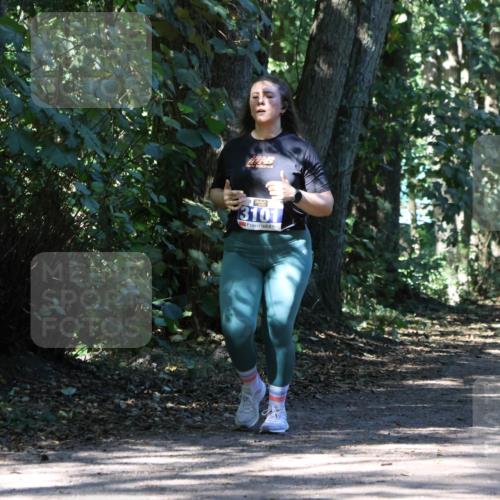 28.09.2025 - 33. Volkslauf durch das schöne Alstertal Strokosch-Dieckow http://msf.ph/oto/8971390 28.09.2025 12:13:14 Laufen 3101 meine-sportfotos.de