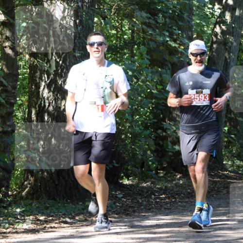28.09.2025 - 33. Volkslauf durch das schöne Alstertal Strokosch-Dieckow http://msf.ph/oto/8971395 28.09.2025 12:13:30 Laufen 2593 meine-sportfotos.de