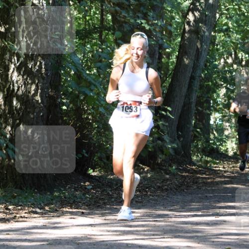 28.09.2025 - 33. Volkslauf durch das schöne Alstertal Strokosch-Dieckow http://msf.ph/oto/8971396 28.09.2025 12:13:38 Laufen 1093, 2300 meine-sportfotos.de