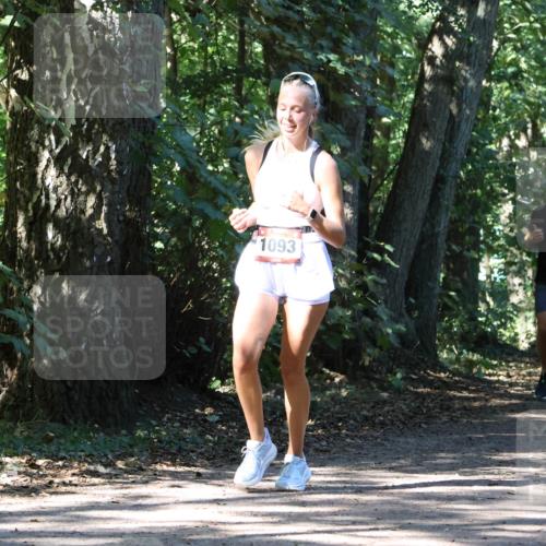 28.09.2025 - 33. Volkslauf durch das schöne Alstertal Strokosch-Dieckow http://msf.ph/oto/8971398 28.09.2025 12:13:38 Laufen 2300, 1093 meine-sportfotos.de