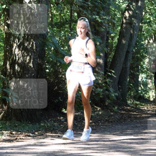 28.09.2025 - 33. Volkslauf durch das schöne Alstertal Strokosch-Dieckow http://msf.ph/oto/8971399 28.09.2025 12:13:38 Laufen 2300, 1093 meine-sportfotos.de