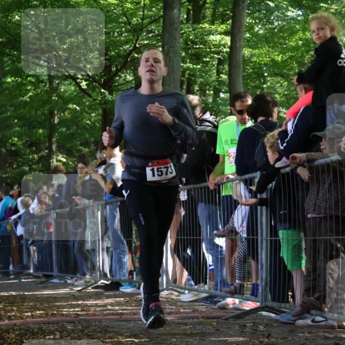 28.09.2025 - 33. Volkslauf durch das schöne Alstertal Strokosch-Dieckow http://msf.ph/oto/8971401 28.09.2025 11:53:22 Ziel 1012, 1573 meine-sportfotos.de