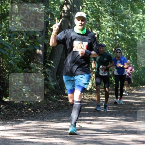28.09.2025 - 33. Volkslauf durch das schöne Alstertal Strokosch-Dieckow http://msf.ph/oto/8971409 28.09.2025 12:13:43 Laufen 2166, 1, 32 meine-sportfotos.de