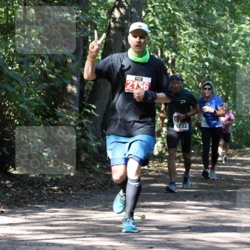 28.09.2025 - 33. Volkslauf durch das schöne Alstertal Strokosch-Dieckow http://msf.ph/oto/8971410 28.09.2025 12:13:43 Laufen 2156, 1732 meine-sportfotos.de
