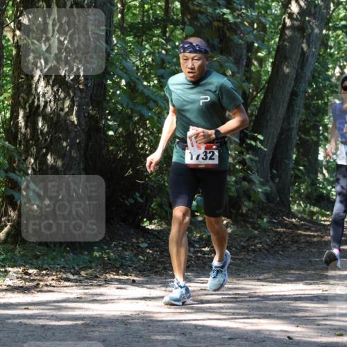 28.09.2025 - 33. Volkslauf durch das schöne Alstertal Strokosch-Dieckow http://msf.ph/oto/8971411 28.09.2025 12:13:46 Laufen 732, 917 meine-sportfotos.de