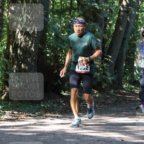 28.09.2025 - 33. Volkslauf durch das schöne Alstertal Strokosch-Dieckow http://msf.ph/oto/8971412 28.09.2025 12:13:46 Laufen 1, 32 meine-sportfotos.de