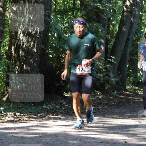 28.09.2025 - 33. Volkslauf durch das schöne Alstertal Strokosch-Dieckow http://msf.ph/oto/8971413 28.09.2025 12:13:46 Laufen 17, 1717 meine-sportfotos.de