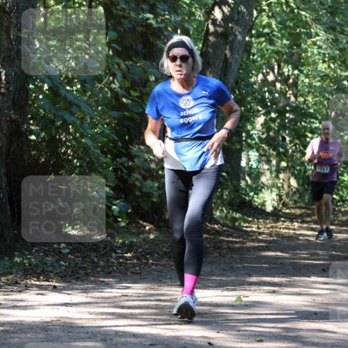 28.09.2025 - 33. Volkslauf durch das schöne Alstertal Strokosch-Dieckow http://msf.ph/oto/8971414 28.09.2025 12:13:48 Laufen 1717 meine-sportfotos.de