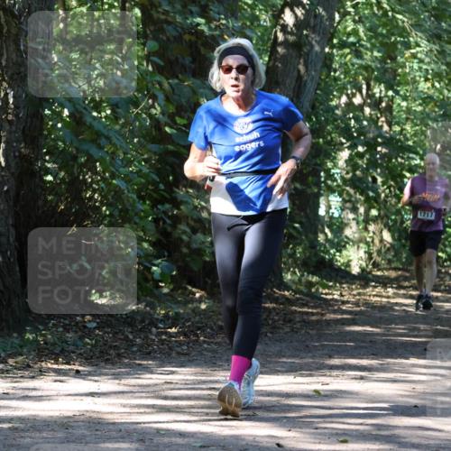 28.09.2025 - 33. Volkslauf durch das schöne Alstertal Strokosch-Dieckow http://msf.ph/oto/8971415 28.09.2025 12:13:48 Laufen 1717 meine-sportfotos.de