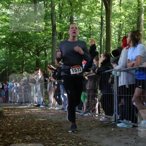 28.09.2025 - 33. Volkslauf durch das schöne Alstertal Strokosch-Dieckow http://msf.ph/oto/8971418 28.09.2025 11:53:23 Ziel 1012, 1573 meine-sportfotos.de