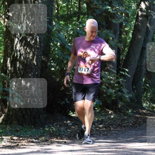 28.09.2025 - 33. Volkslauf durch das schöne Alstertal Strokosch-Dieckow http://msf.ph/oto/8971420 28.09.2025 12:13:54 Laufen 1717 meine-sportfotos.de