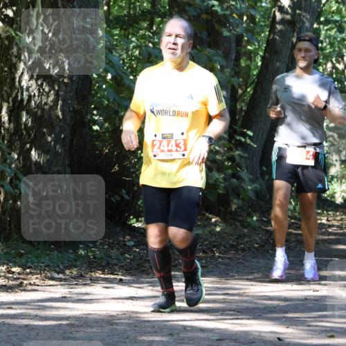28.09.2025 - 33. Volkslauf durch das schöne Alstertal Strokosch-Dieckow http://msf.ph/oto/8971424 28.09.2025 12:13:58 Laufen 2443 meine-sportfotos.de