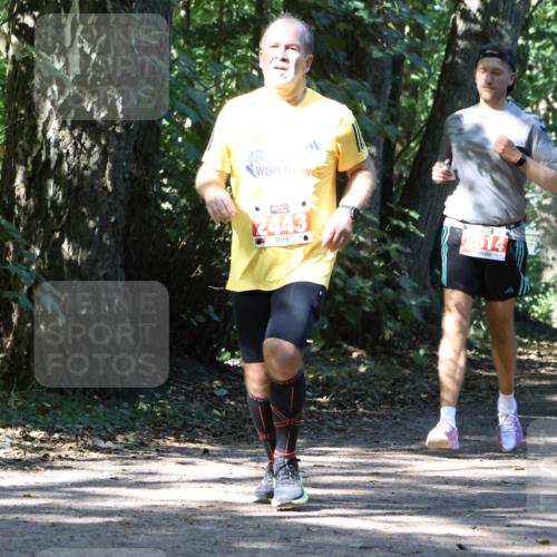 28.09.2025 - 33. Volkslauf durch das schöne Alstertal Strokosch-Dieckow http://msf.ph/oto/8971425 28.09.2025 12:13:58 Laufen 2443, 2614 meine-sportfotos.de