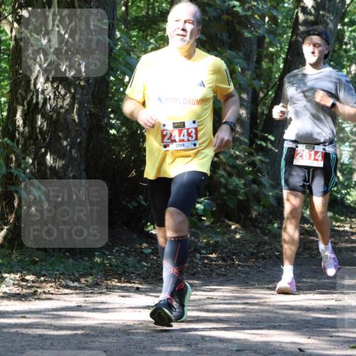 28.09.2025 - 33. Volkslauf durch das schöne Alstertal Strokosch-Dieckow http://msf.ph/oto/8971426 28.09.2025 12:13:58 Laufen 2443, 2614 meine-sportfotos.de