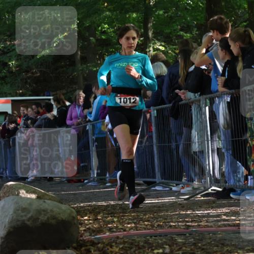 28.09.2025 - 33. Volkslauf durch das schöne Alstertal Strokosch-Dieckow http://msf.ph/oto/8971435 28.09.2025 11:53:28 Ziel 1012, 1624 meine-sportfotos.de