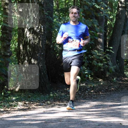 28.09.2025 - 33. Volkslauf durch das schöne Alstertal Strokosch-Dieckow http://msf.ph/oto/8971437 28.09.2025 12:14:22 Laufen 198 meine-sportfotos.de