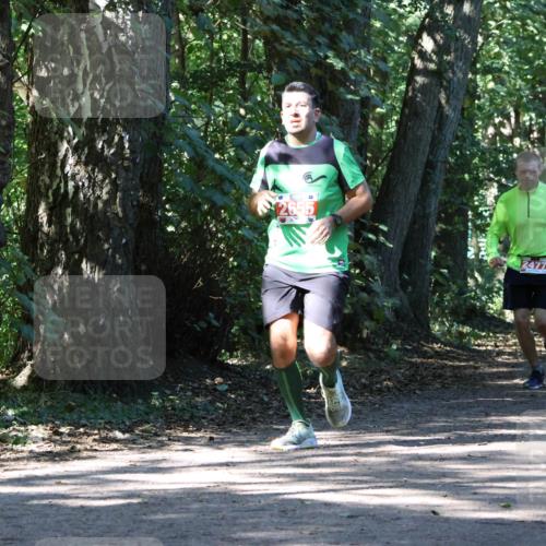 28.09.2025 - 33. Volkslauf durch das schöne Alstertal Strokosch-Dieckow http://msf.ph/oto/8971445 28.09.2025 12:14:35 Laufen 2655, 2477, 208 meine-sportfotos.de
