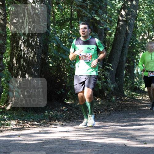 28.09.2025 - 33. Volkslauf durch das schöne Alstertal Strokosch-Dieckow http://msf.ph/oto/8971446 28.09.2025 12:14:35 Laufen 2655, 2477 meine-sportfotos.de