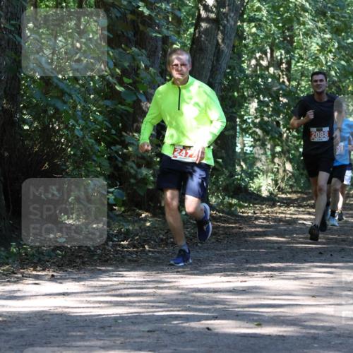 28.09.2025 - 33. Volkslauf durch das schöne Alstertal Strokosch-Dieckow http://msf.ph/oto/8971448 28.09.2025 12:14:36 Laufen 247, 2088, 38 meine-sportfotos.de