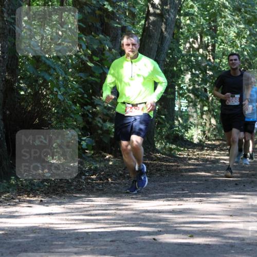28.09.2025 - 33. Volkslauf durch das schöne Alstertal Strokosch-Dieckow http://msf.ph/oto/8971449 28.09.2025 12:14:36 Laufen 088, 38, 2116 meine-sportfotos.de