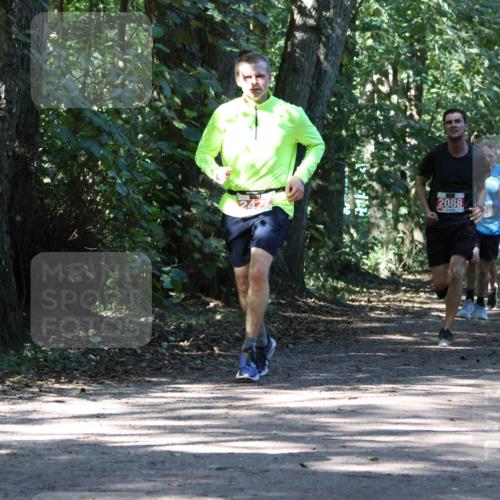 28.09.2025 - 33. Volkslauf durch das schöne Alstertal Strokosch-Dieckow http://msf.ph/oto/8971450 28.09.2025 12:14:36 Laufen 2088 meine-sportfotos.de