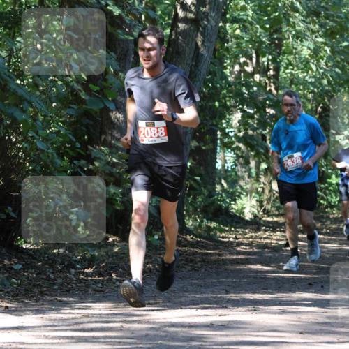 28.09.2025 - 33. Volkslauf durch das schöne Alstertal Strokosch-Dieckow http://msf.ph/oto/8971451 28.09.2025 12:14:38 Laufen 2088, 2638, 2017, 211 meine-sportfotos.de