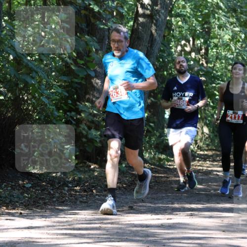 28.09.2025 - 33. Volkslauf durch das schöne Alstertal Strokosch-Dieckow http://msf.ph/oto/8971453 28.09.2025 12:14:40 Laufen 2638, 466, 2117, 2116 meine-sportfotos.de