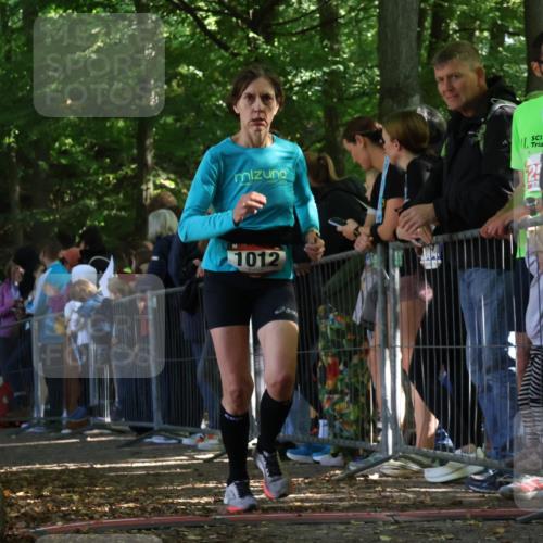 28.09.2025 - 33. Volkslauf durch das schöne Alstertal Strokosch-Dieckow http://msf.ph/oto/8971454 28.09.2025 11:53:28 Ziel 1012, 1624 meine-sportfotos.de