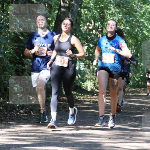 28.09.2025 - 33. Volkslauf durch das schöne Alstertal Strokosch-Dieckow http://msf.ph/oto/8971456 28.09.2025 12:14:42 Laufen 2466, 117 meine-sportfotos.de