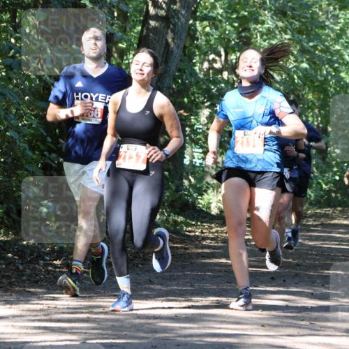 28.09.2025 - 33. Volkslauf durch das schöne Alstertal Strokosch-Dieckow http://msf.ph/oto/8971458 28.09.2025 12:14:42 Laufen 2117, 2116 meine-sportfotos.de