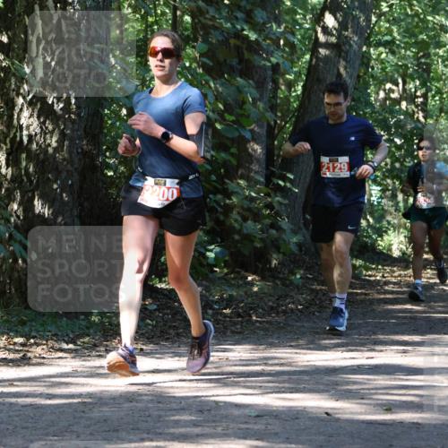 28.09.2025 - 33. Volkslauf durch das schöne Alstertal Strokosch-Dieckow http://msf.ph/oto/8971460 28.09.2025 12:14:45 Laufen 200, 2129 meine-sportfotos.de