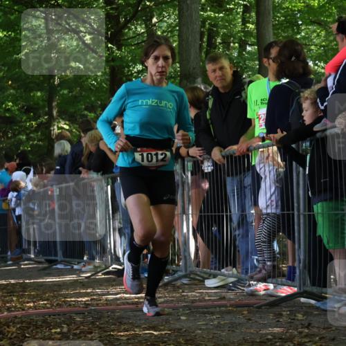 28.09.2025 - 33. Volkslauf durch das schöne Alstertal Strokosch-Dieckow http://msf.ph/oto/8971462 28.09.2025 11:53:29 Ziel 1012, 1624 meine-sportfotos.de