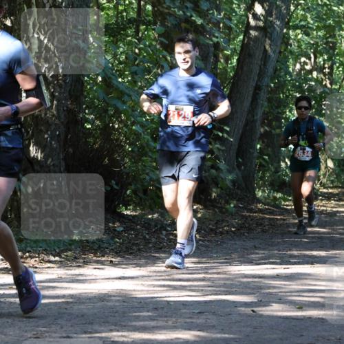 28.09.2025 - 33. Volkslauf durch das schöne Alstertal Strokosch-Dieckow http://msf.ph/oto/8971463 28.09.2025 12:14:46 Laufen 2200, 2129, 2634 meine-sportfotos.de