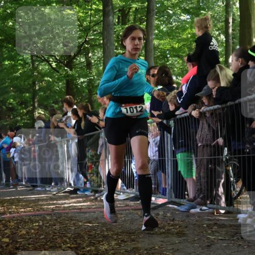 28.09.2025 - 33. Volkslauf durch das schöne Alstertal Strokosch-Dieckow http://msf.ph/oto/8971469 28.09.2025 11:53:29 Ziel 1012, 1624 meine-sportfotos.de