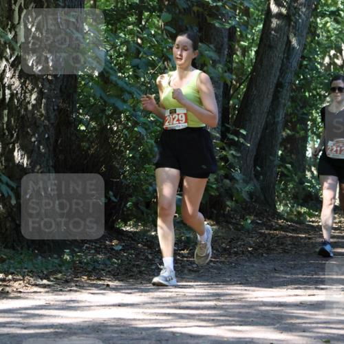 28.09.2025 - 33. Volkslauf durch das schöne Alstertal Strokosch-Dieckow http://msf.ph/oto/8971470 28.09.2025 12:14:52 Laufen 2029, 2212, 1091 meine-sportfotos.de