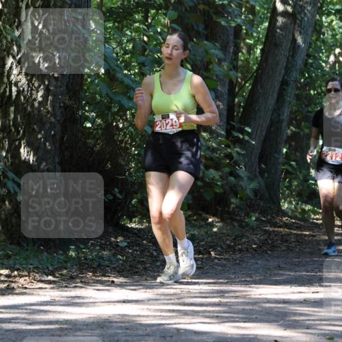 28.09.2025 - 33. Volkslauf durch das schöne Alstertal Strokosch-Dieckow http://msf.ph/oto/8971472 28.09.2025 12:14:53 Laufen 2029, 2212, 109 meine-sportfotos.de
