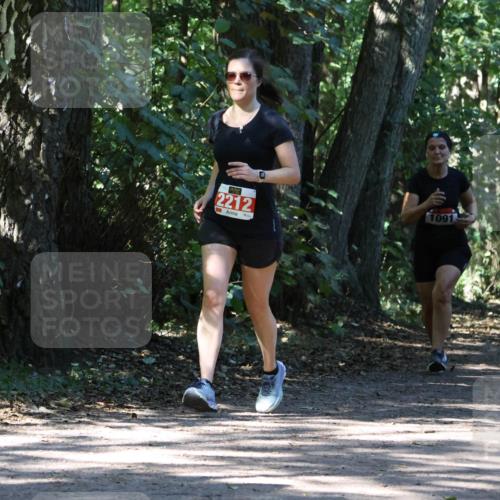 28.09.2025 - 33. Volkslauf durch das schöne Alstertal Strokosch-Dieckow http://msf.ph/oto/8971473 28.09.2025 12:14:54 Laufen 2212, 1091 meine-sportfotos.de