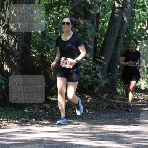 28.09.2025 - 33. Volkslauf durch das schöne Alstertal Strokosch-Dieckow http://msf.ph/oto/8971475 28.09.2025 12:14:54 Laufen 221 meine-sportfotos.de