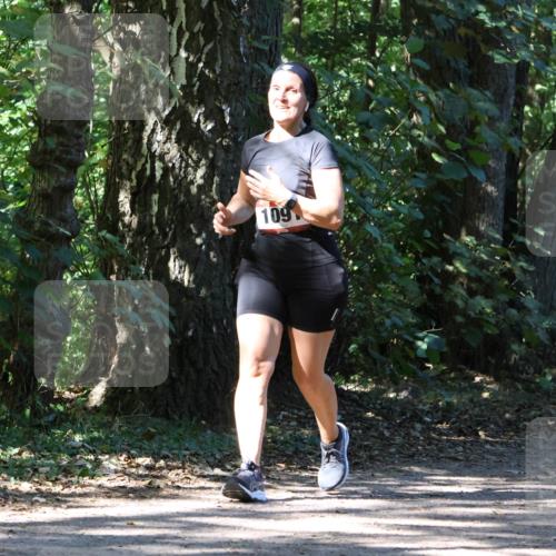 28.09.2025 - 33. Volkslauf durch das schöne Alstertal Strokosch-Dieckow http://msf.ph/oto/8971476 28.09.2025 12:14:58 Laufen 109 meine-sportfotos.de