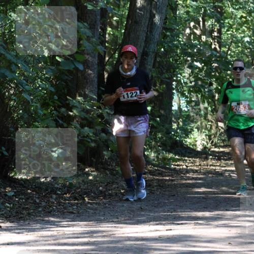 28.09.2025 - 33. Volkslauf durch das schöne Alstertal Strokosch-Dieckow http://msf.ph/oto/8971482 28.09.2025 12:15:04 Laufen 1122, 2653, 2166, 1740 meine-sportfotos.de