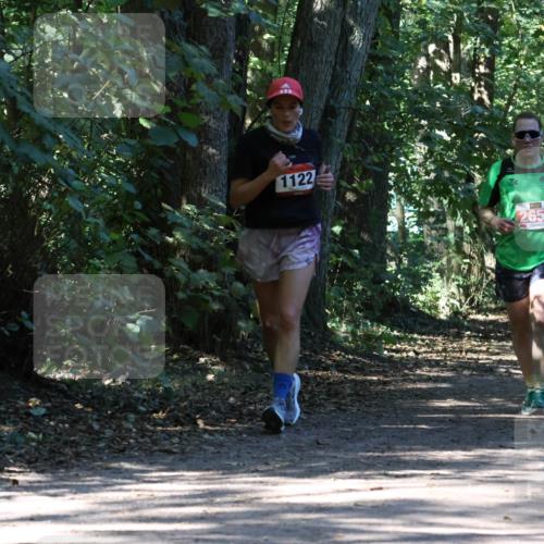 28.09.2025 - 33. Volkslauf durch das schöne Alstertal Strokosch-Dieckow http://msf.ph/oto/8971484 28.09.2025 12:15:04 Laufen 1122, 2653, 2156, 1740 meine-sportfotos.de