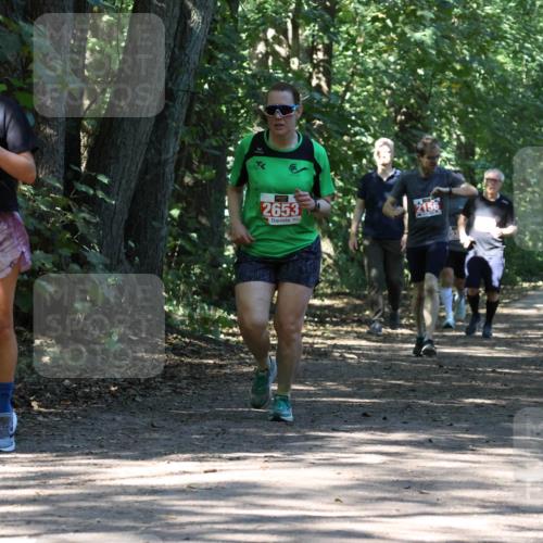 28.09.2025 - 33. Volkslauf durch das schöne Alstertal Strokosch-Dieckow http://msf.ph/oto/8971486 28.09.2025 12:15:05 Laufen 1122, 2653, 2156 meine-sportfotos.de