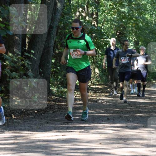 28.09.2025 - 33. Volkslauf durch das schöne Alstertal Strokosch-Dieckow http://msf.ph/oto/8971488 28.09.2025 12:15:06 Laufen 112, 265, 2156 meine-sportfotos.de