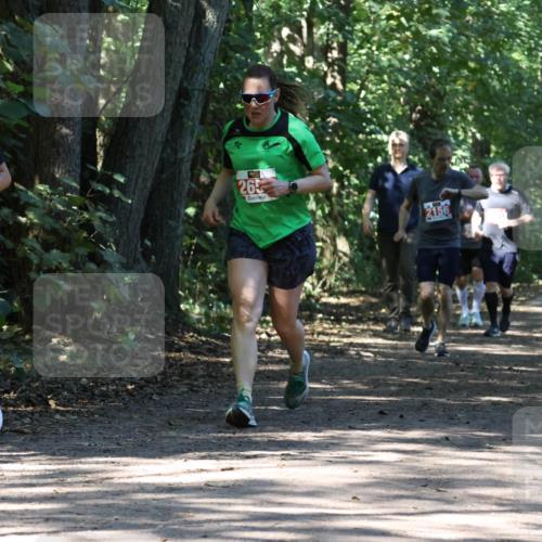 28.09.2025 - 33. Volkslauf durch das schöne Alstertal Strokosch-Dieckow http://msf.ph/oto/8971489 28.09.2025 12:15:06 Laufen 1122, 26, 2156 meine-sportfotos.de