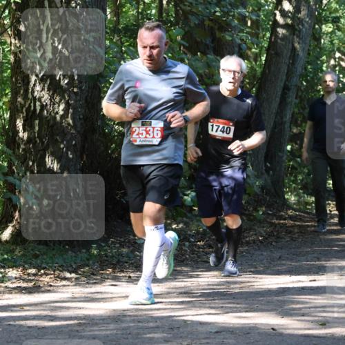 28.09.2025 - 33. Volkslauf durch das schöne Alstertal Strokosch-Dieckow http://msf.ph/oto/8971493 28.09.2025 12:15:14 Laufen 2536, 1740 meine-sportfotos.de