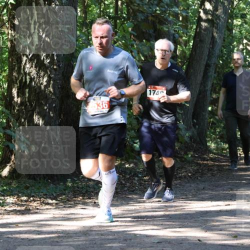 28.09.2025 - 33. Volkslauf durch das schöne Alstertal Strokosch-Dieckow http://msf.ph/oto/8971494 28.09.2025 12:15:15 Laufen 2536, 1740 meine-sportfotos.de